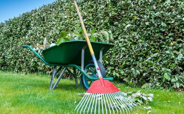 Lawn Care Business