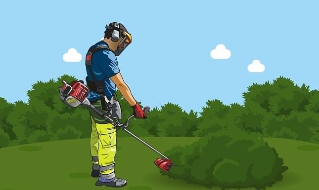 5 Things You Need To Know About Becoming A Professional Gardener