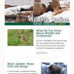 NWF-newsletter