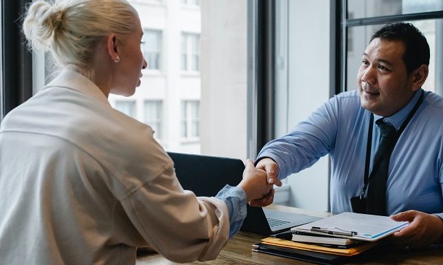 What are the Expertise of a Business Consultants