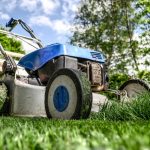 Pros and Cons of Starting a Lawn Care Business (1)