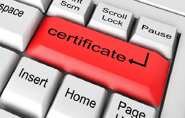 Why You Should Obtain a Lean Six Sigma Black Belt Certification