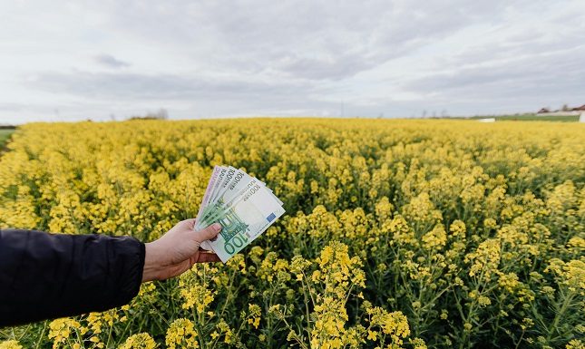 Understanding Your Financial Landscape