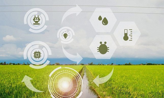 AI Innovations that Transform Agriculture