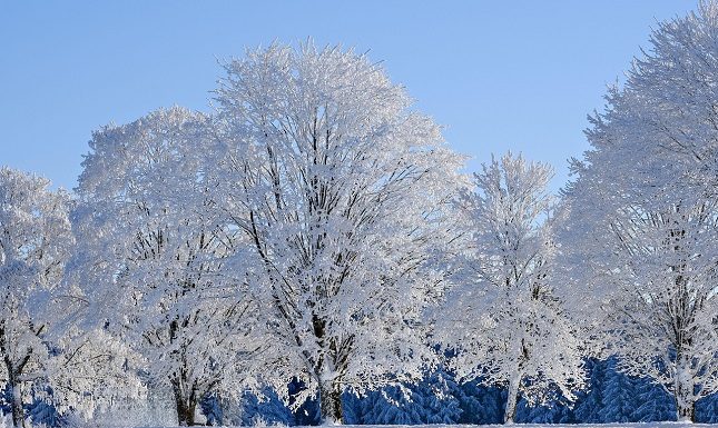 8 Reasons Emergency Furnace Repair Is Needed
