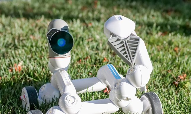 Why Robot Lawn Mowers Are Essential For Retail Tool Sales