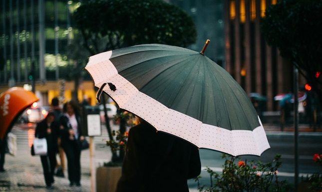 Key Features To Check When Shopping For Umbrellas Online