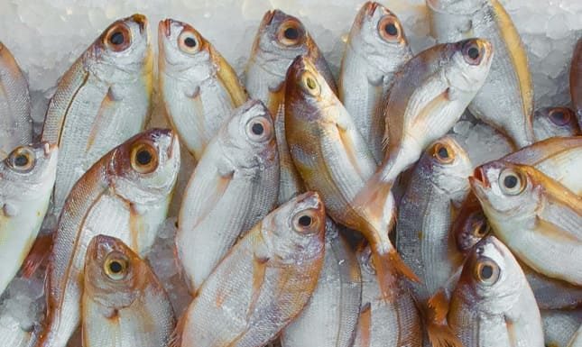 Pacific Seafood’s Sacramento Site Surpasses Energy Goals And Earns Sustainability Certification