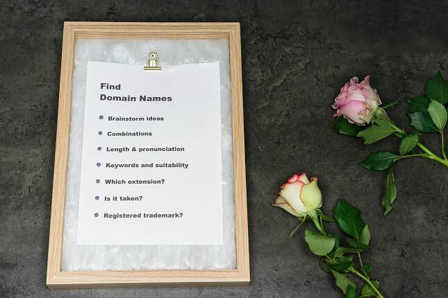 Why Domains Are The New Digital Assets An Investment Perspective For 2025 (1)