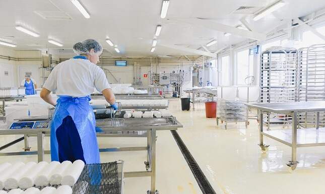 Smart Equipment Choices For Food Processing Plants To Enhance Efficiency
