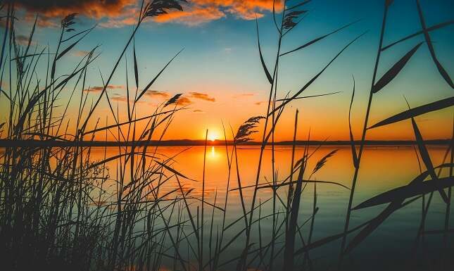 Small Habits, Big Impact: How To Build A Calmer Daily Routine