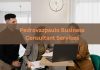 A Beginner’s Guide to Pedrovazpaulo Business Consultant Services