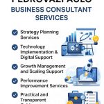 Guide to Pedrovazpaulo Business Consultant Services