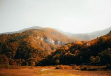 The Ultimate Guide To Planning A Romantic Getaway For Two
