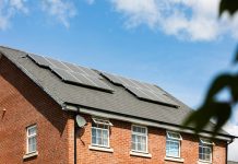 New York City Eco-Friendly Renovations That Cut Bills & Boost Home Value