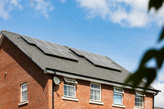 New York City Eco-Friendly Renovations That Cut Bills & Boost Home Value