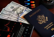 How High-Skilled Professionals Can Plan U.S. Work Authorization