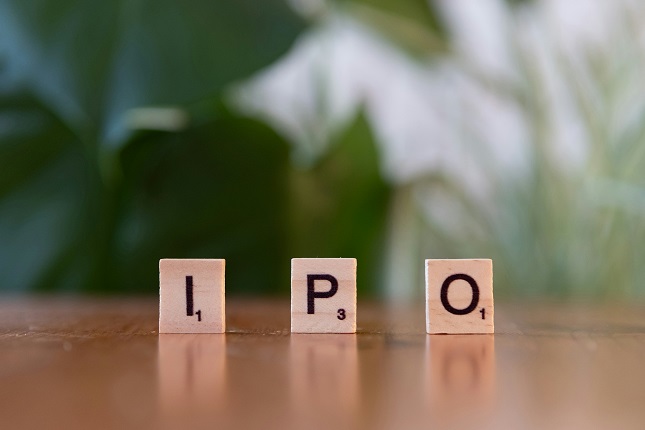 What Does an IPO Lawyer Do A Guide for Companies Preparing to Go Public