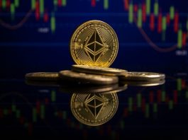 Using Digital Assets As Collateral: What Entrepreneurs Should Know Before Accessing Liquidity